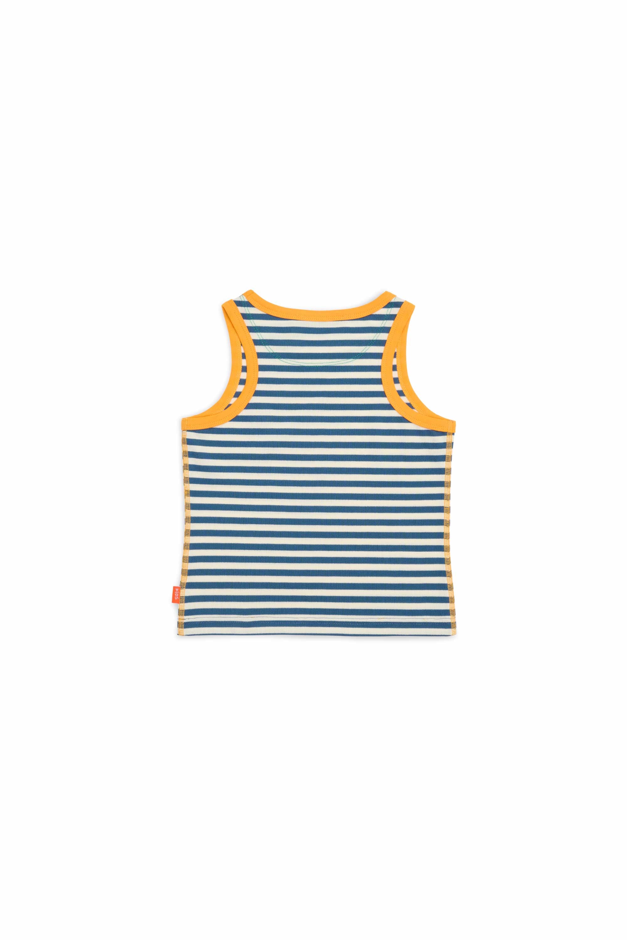 Navy Stripes